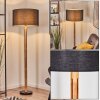 Flemming Lampadaire Écru, Noir, 1 lumière