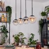 Gastor Suspension, Boule lumineuse, Suspension Ambre, Clair, Fumé, 4 lumières