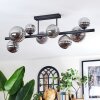 Chehalis Plafonnier, Boule lumineuse Fumé, 8 lumières