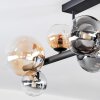 Chehalis Plafonnier, Boule lumineuse Ambre, Clair, Fumé, 8 lumières Chehalis Plafonnier, Boule lumineuse Ambre, Clair, Fumé, 8 lumières