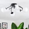 Chehalis Plafonnier, Boule lumineuse 56 cm Blanc, 6 lumières