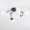 Chehalis Plafonnier, Boule lumineuse Blanc, 6 lumières
