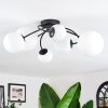 Chehalis Plafonnier, Boule lumineuse Blanc, 6 lumières