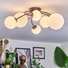 Chehalis Plafonnier, Boule lumineuse Blanc, 6 lumières
