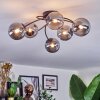 Chehalis Plafonnier, Boule lumineuse 58 cm Fumé, 6 lumières