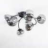 Chehalis Plafonnier, Boule lumineuse Clair, Fumé, 6 lumières