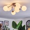 Chehalis Plafonnier, Boule lumineuse Blanc, 6 lumières