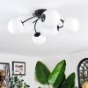 Chehalis Plafonnier, Boule lumineuse Blanc, 6 lumières