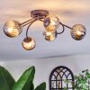 Chehalis Plafonnier, Boule lumineuse Fumé, 6 lumières