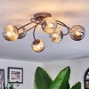 Chehalis Plafonnier, Boule lumineuse Fumé, 6 lumières