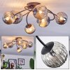 Chehalis Plafonnier, Boule lumineuse Fumé, 6 lumières