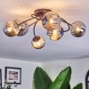 Chehalis Plafonnier, Boule lumineuse Fumé, 6 lumières