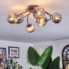 Chehalis Plafonnier, Boule lumineuse Fumé, 6 lumières