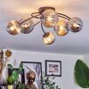 Chehalis Plafonnier, Boule lumineuse Fumé, 6 lumières