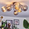 Chehalis Plafonnier, Boule lumineuse Fumé, 6 lumières
