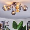 Chehalis Plafonnier, Boule lumineuse Fumé, 6 lumières