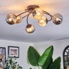 Chehalis Plafonnier, Boule lumineuse Ambre, Fumé, 6 lumières