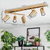 Javel Plafonnier, Spot de plafond Or, 5 lumières