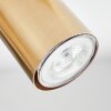 Javel Plafonnier, Spot de plafond Or, 5 lumières