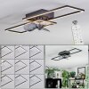 Hyacinthe Plafonnier, Ventilateur de plafond lumineux LED Chrome, Noir, 1 lumière, Télécommandes