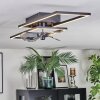 Hyacinthe Plafonnier, Ventilateur de plafond lumineux LED Chrome, Noir, 1 lumière, Télécommandes