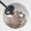 Chehalis Plafonnier, Boule lumineuse 20 cm Fumé, 6 lumières