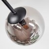 Chehalis Plafonnier, Boule lumineuse 18 cm Fumé, 6 lumières
