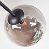 Chehalis Plafonnier, Boule lumineuse 20 cm Fumé, 6 lumières
