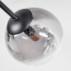 Chehalis Plafonnier, Boule lumineuse 18 cm Clair, Fumé, 6 lumières