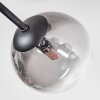 Chehalis Plafonnier, Boule lumineuse 18 cm Clair, Fumé, 6 lumières