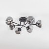 Chehalis Plafonnier, Boule lumineuse 18 cm Clair, Fumé, 6 lumières