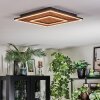 Meron Plafonnier LED Couleur bois, Noir, 1 lumière