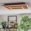Meron Plafonnier LED Couleur bois, Noir, 1 lumière