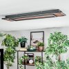 Meron Plafonnier LED Couleur bois, Noir, 1 lumière