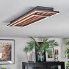 Meron Plafonnier LED Couleur bois, Noir, 1 lumière