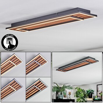 Meron Plafonnier LED Couleur bois, Noir, 1 lumière