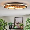Meron Plafonnier LED Couleur bois, Noir, 1 lumière