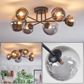 Chehalis Plafonnier, Boule lumineuse Clair, Fumé, 6 lumières Chehalis Plafonnier, Boule lumineuse Clair, Fumé, 6 lumières