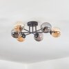 Chehalis Plafonnier, Boule lumineuse Ambre, Fumé, 6 lumières