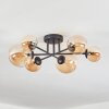 Chehalis Plafonnier, Boule lumineuse Ambre, 6 lumières