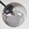 Chehalis Plafonnier, Boule lumineuse Ambre, Clair, Fumé, 6 lumières