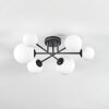 Chehalis Plafonnier, Boule lumineuse Blanc, 6 lumières