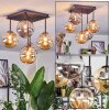 Chehalis Plafonnier, Boule lumineuse Ambre, Fumé, 5 lumières