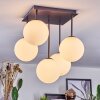 Chehalis Plafonnier, Boule lumineuse Blanc, 5 lumières
