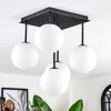 Chehalis Plafonnier, Boule lumineuse Blanc, 5 lumières