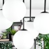 Chehalis Plafonnier, Boule lumineuse Blanc, 5 lumières