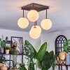 Chehalis Plafonnier, Boule lumineuse Blanc, 5 lumières