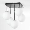 Chehalis Plafonnier, Boule lumineuse Blanc, 5 lumières