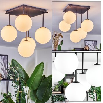 Chehalis Plafonnier, Boule lumineuse Blanc, 5 lumières