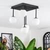 Chehalis Plafonnier, Boule lumineuse Blanc, 5 lumières